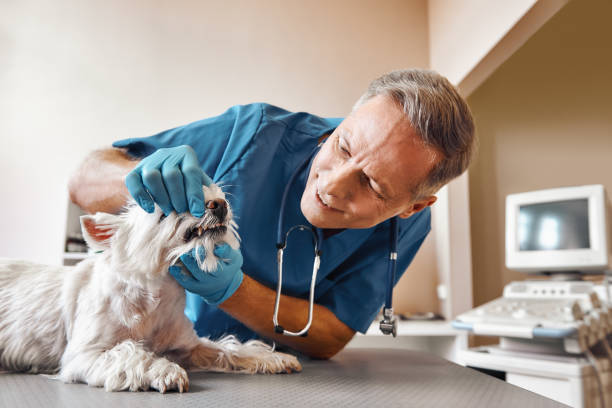Best Emergency Gum Treatment in Riverdale, NJ